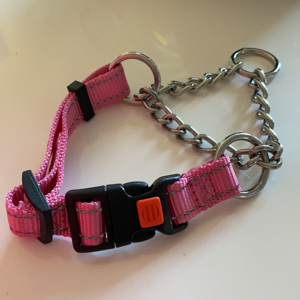 Martingale Small Dog Collar